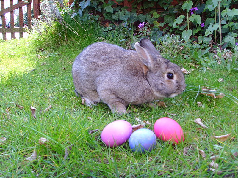 Easter School Holidays 2012