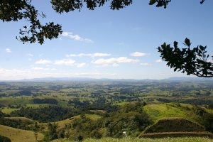 Milla Milla Dairy Country