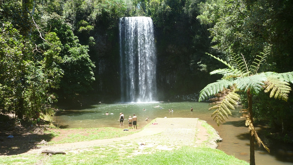 Millaa Millaa .. Waterfall Circuit.