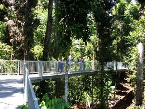 Ma Mu Forest Canopy Walk