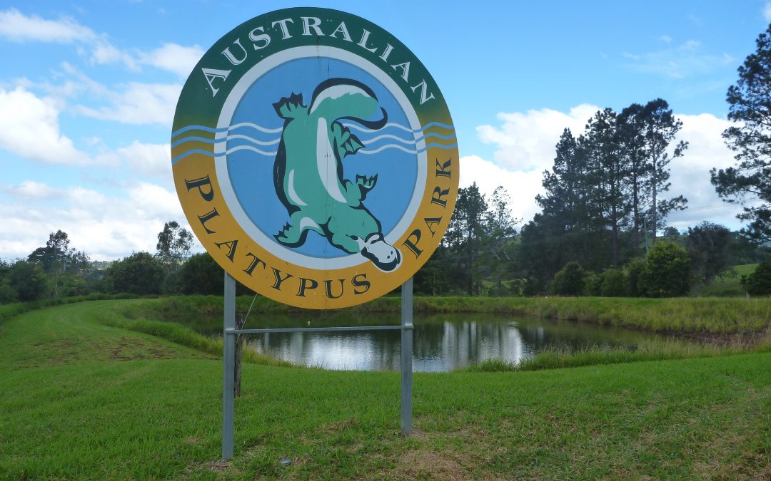 Tarzali ..Atherton Tablelands, North Queensland