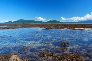 King Reef Kurrimine beach