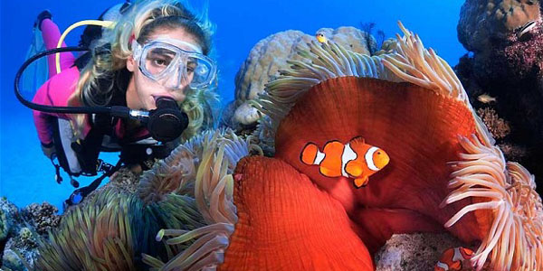 Cairns - Great Barrier Reef