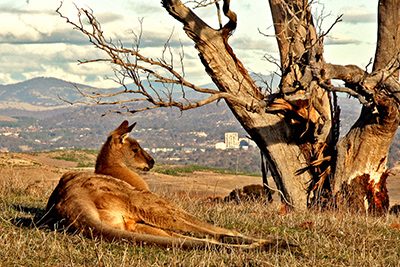 Australian Capital Territory
