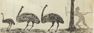 Emu - Hunting
